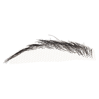 Eyebrows # 2
