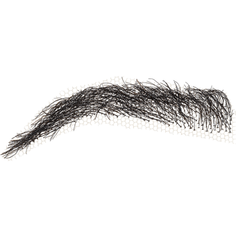 Eyebrows # 1