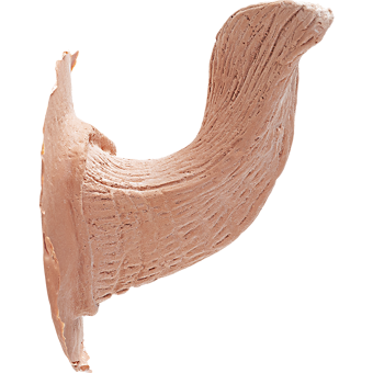 Corna in lattice Satyr